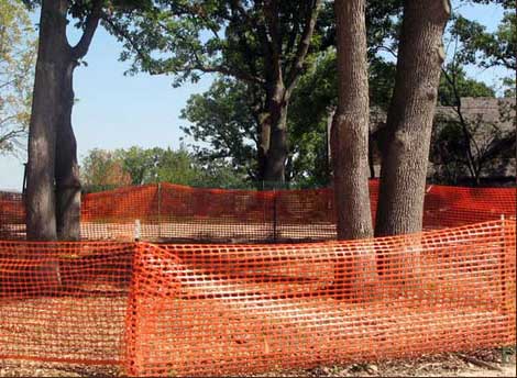 Tree Construction Protection Services Austin, TX