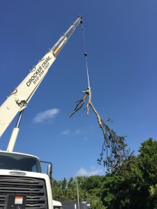 Texas Parks and Wildlife Department