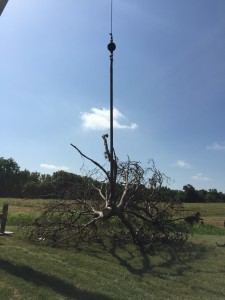 Texas Parks and Wildlife Department