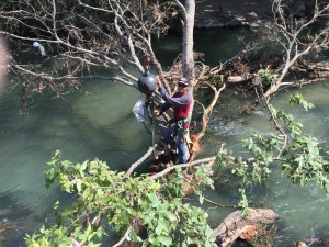 Texas Parks and Wildlife Department