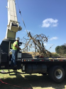 Texas Parks and Wildlife Department,