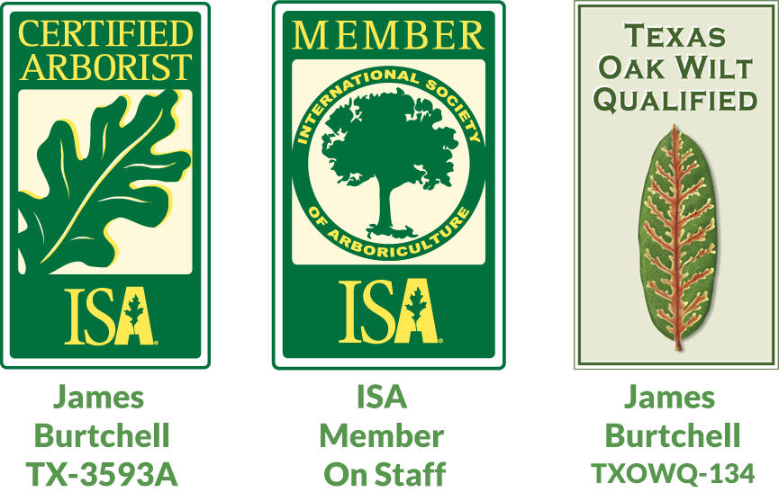 arborist certifications