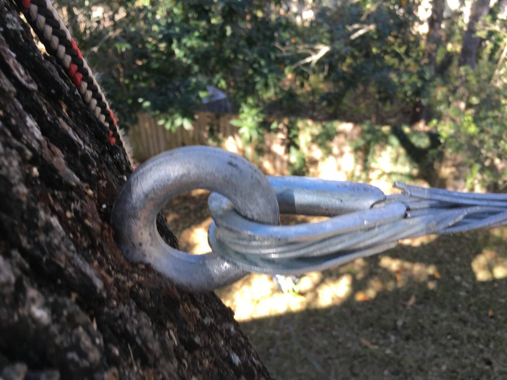 Tree cabling tree cabling