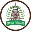 capitol tree care logo