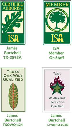 arborist certifications