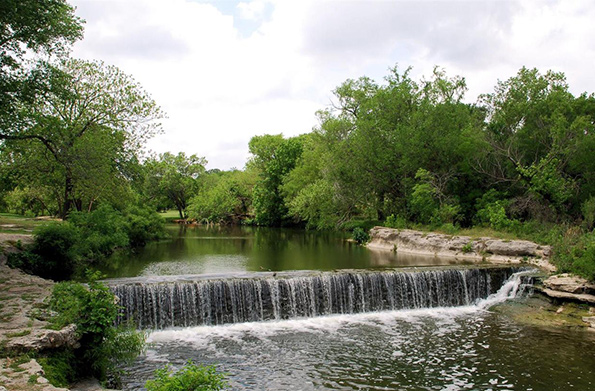 round rock tree services