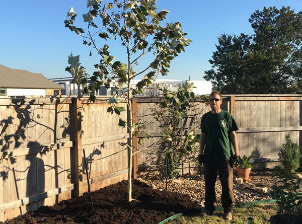 Tree planting services tree planting services