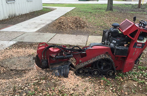 stump grinding service