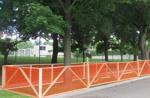 tree protection service during construction