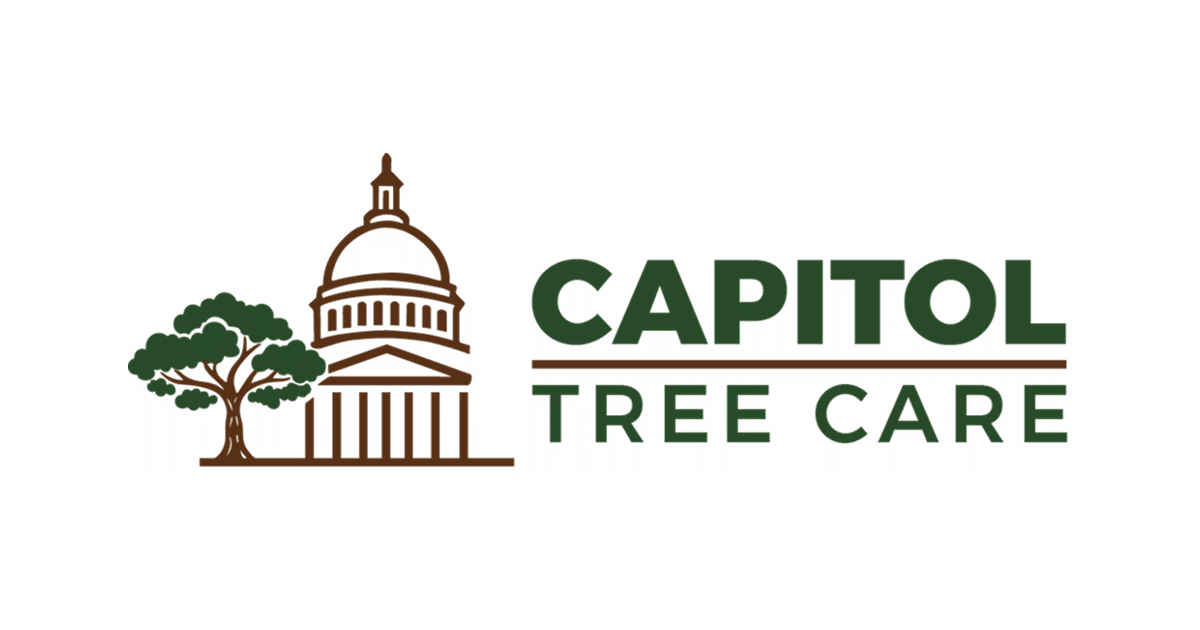 Professional Tree Care Services | Austin, TX