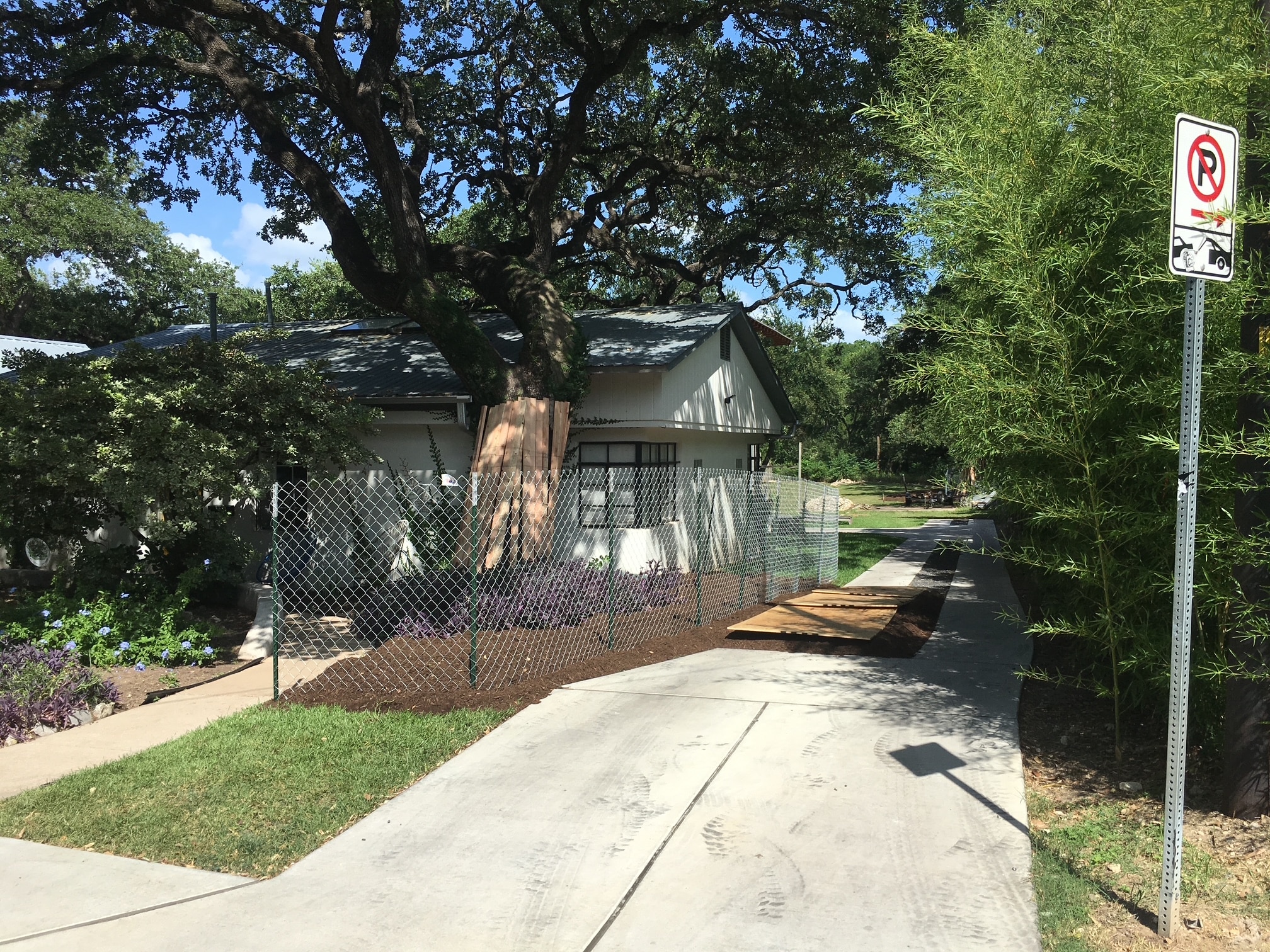 Slc Tree Protection Tree Protection Services | Austin, TX